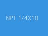 NPT 1/4X18 
